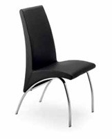 /album/sillas/zoo-jpg/